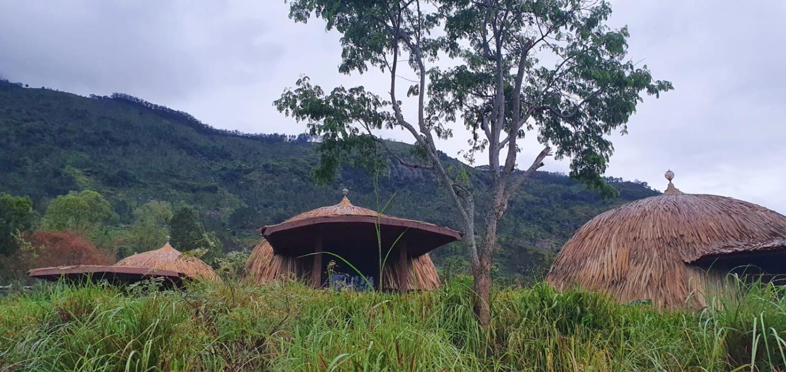 Dream Cliff Mountain Resort Haputale Eksteriør billede