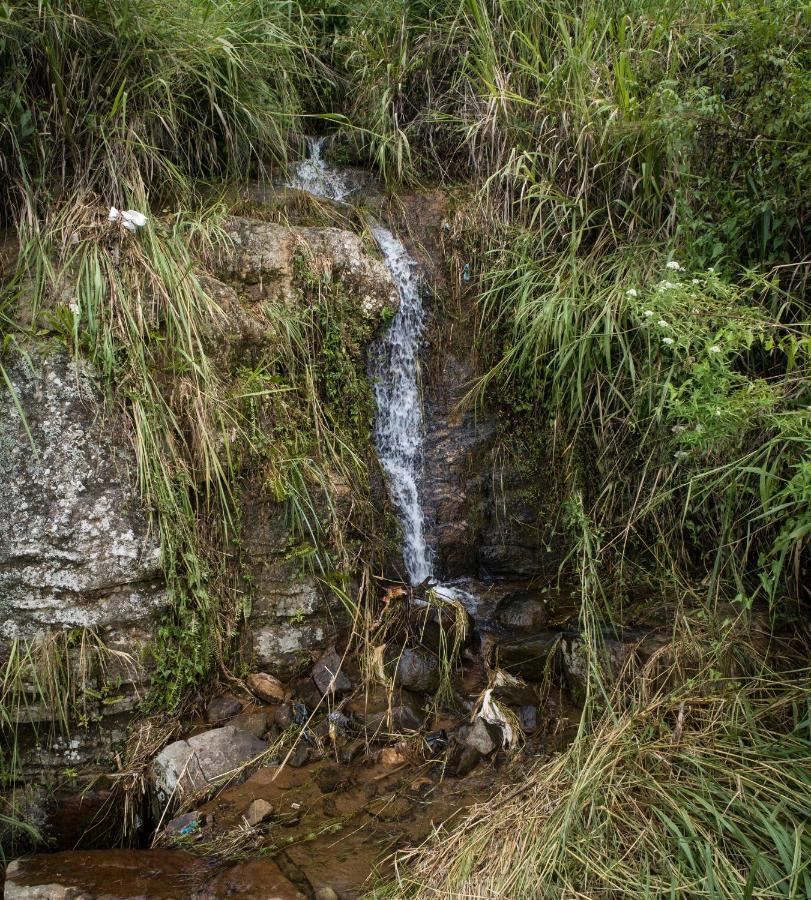 Dream Cliff Mountain Resort Haputale Eksteriør billede